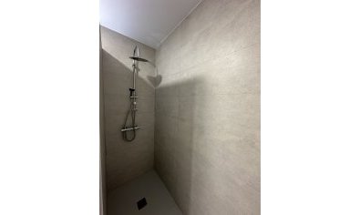 Obra nueva - Villa -
Lel