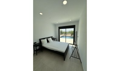 Obra nueva - Villa -
Lel
