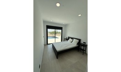 Obra nueva - Villa -
Lel