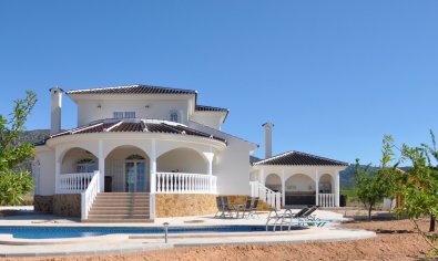 Obra nueva - Villa -
Lel