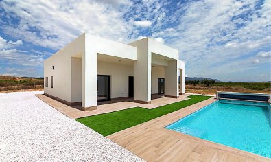 Obra nueva - Villa -
Lel