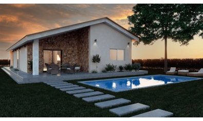 Obra nueva - Villa -
Moratalla