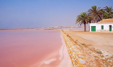 Nieuwbouw Woningen - terraced -
San Pedro del Pinatar - San Pedro Del Pinatar