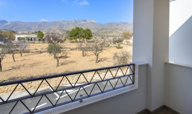 Obra nueva - Apartamento / piso -
La Canalosa