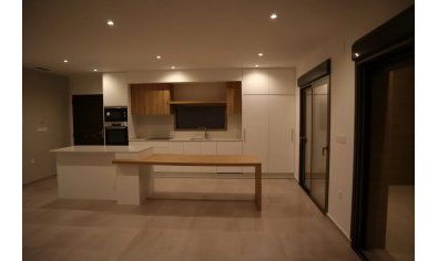 New Build - Villa -
Aspe
