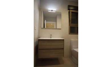 New Build - Villa -
Aspe