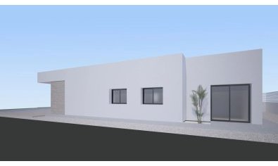 New Build - Villa -
Aspe