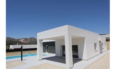 New Build - Villa -
La Romana