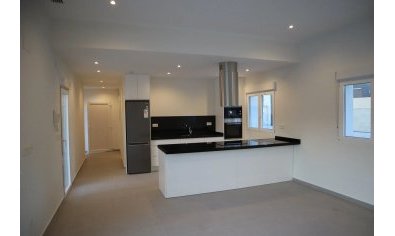 New Build - Villa -
La Romana