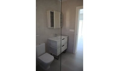New Build - Villa -
La Romana