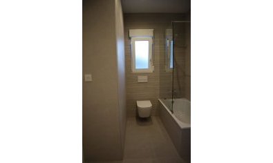 New Build - Villa -
La Romana