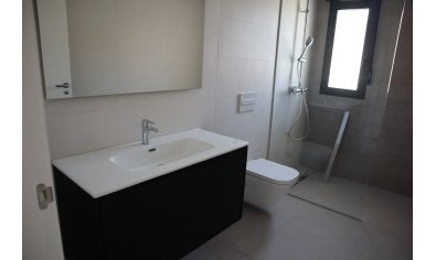 New Build - Villa -
La Romana