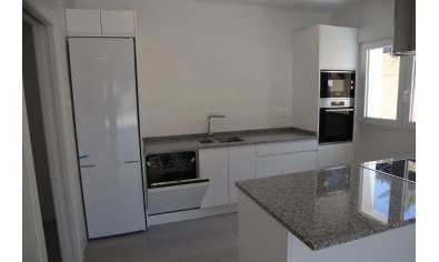 New Build - Villa -
La Romana