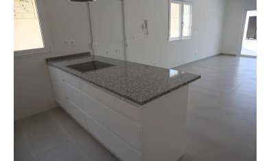 New Build - Villa -
La Romana