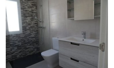 New Build - Villa -
La Romana