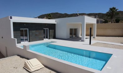 New Build - Villa -
La Romana