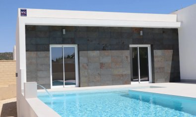 New Build - Villa -
La Romana