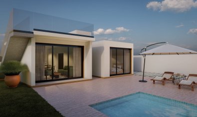 New Build - Villa -
Las Casicas