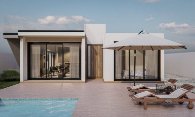 New Build - Villa -
Las Casicas