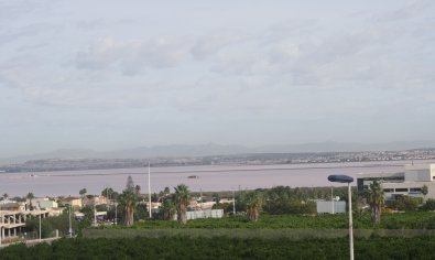 New Build - terraced -
Torrevieja