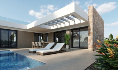 Obra nueva - Villa -
Murcia