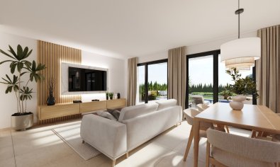 Obra nueva - Villa -
Murcia