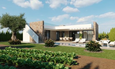 Obra nueva - Villa -
Murcia