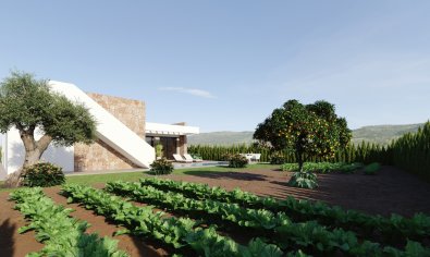 Obra nueva - Villa -
Murcia