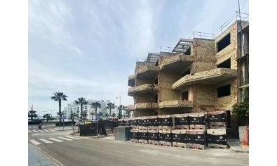 Obra nueva - Apartamento / piso -
El Morche