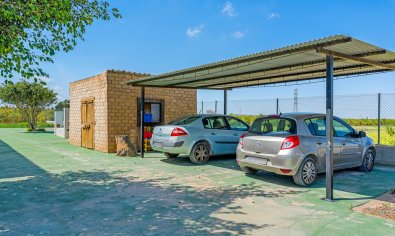 Bestaande bouw - Villa -
Los Montesinos