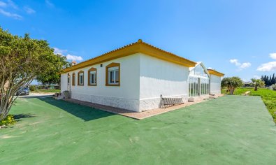 Bestaande bouw - Villa -
Los Montesinos