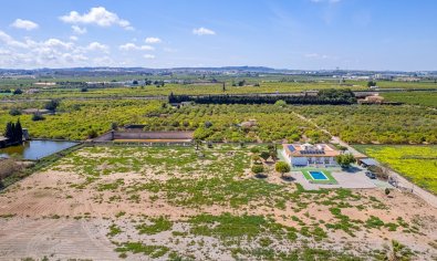 Bestaande bouw - Villa -
Los Montesinos