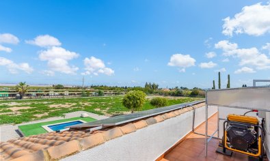 Bestaande bouw - Villa -
Los Montesinos