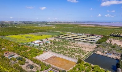 Bestaande bouw - Villa -
Los Montesinos