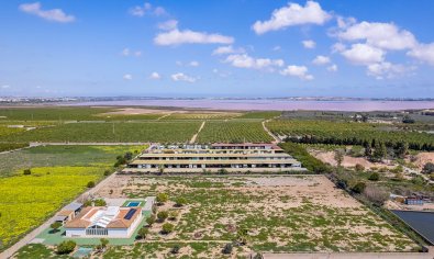 Bestaande bouw - Villa -
Los Montesinos