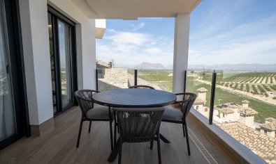 New Build - Villa -
Algorfa