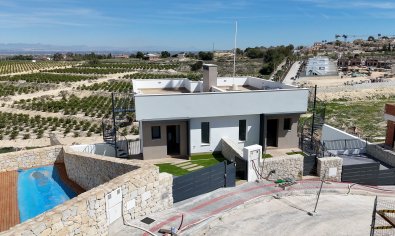 New Build - Villa -
Algorfa