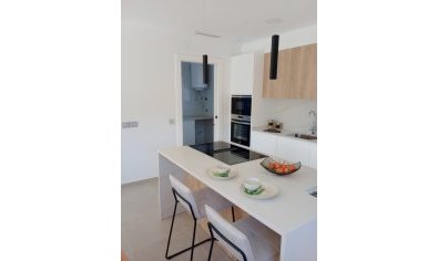 Nieuwbouw Woningen - Villa -
Calasparra
