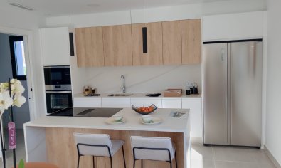 Nieuwbouw Woningen - Villa -
Calasparra