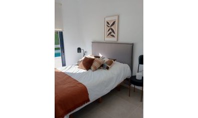 Nieuwbouw Woningen - Villa -
Calasparra