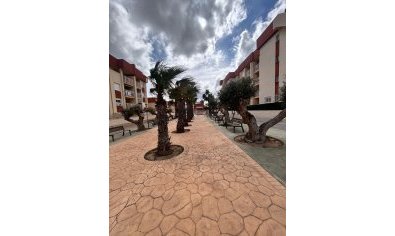 Nieuwbouw Woningen - Appartement -
Orihuela