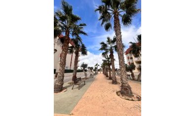 Nieuwbouw Woningen - Appartement -
Orihuela