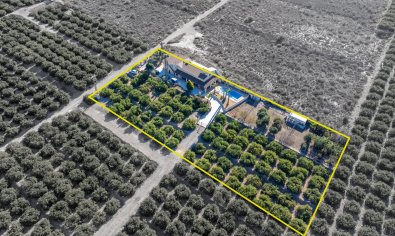 Bestaande bouw - Villa -
Orihuela - La Matanza