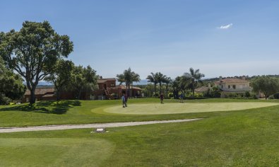 Obra nueva - Ático -
San Roque