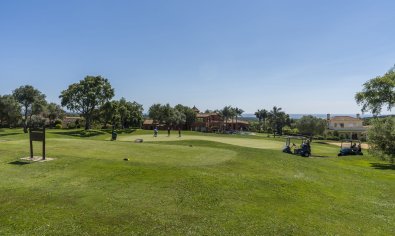 Obra nueva - Ático -
San Roque