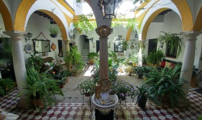 Obra nueva - Ático -
San Roque