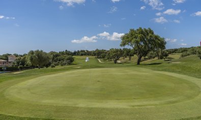 Obra nueva - Ático -
San Roque