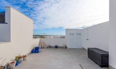 Reventa - Apartamento / piso -
Guardamar del Segura - El Raso