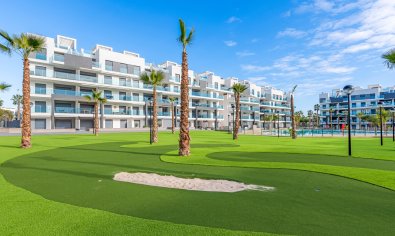Reventa - Apartamento / piso -
Guardamar del Segura - El Raso