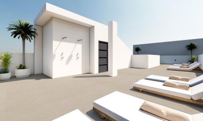 Obra nueva - Apartamento / piso -
Guardamar del Segura - Guardamar Del Segura